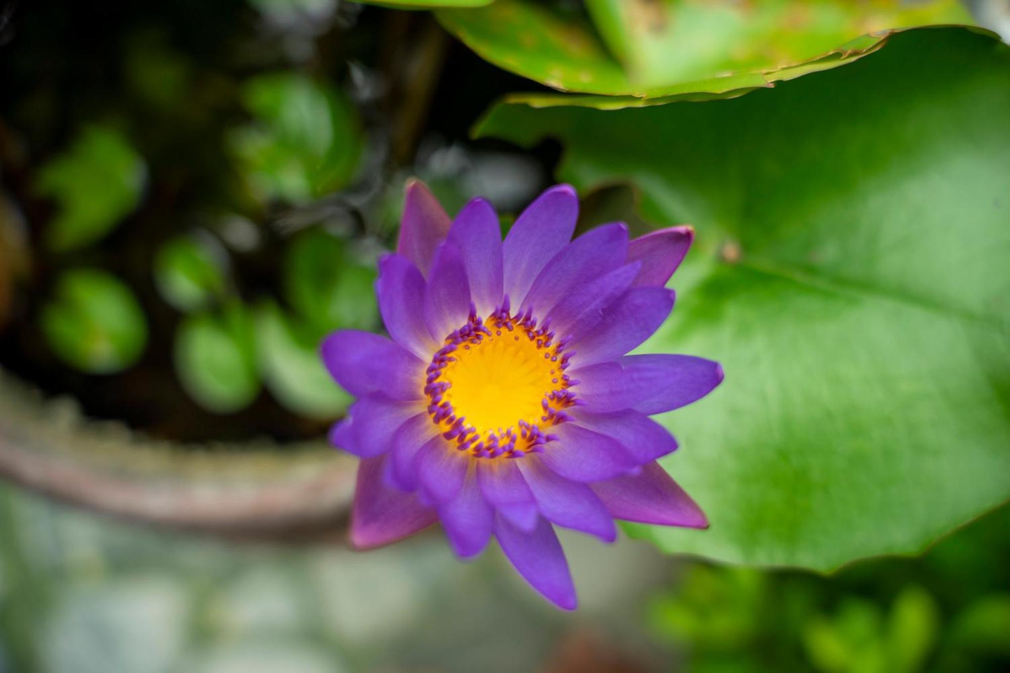 Tam Coc Minh Hung Homestay 닌빈 외부 사진